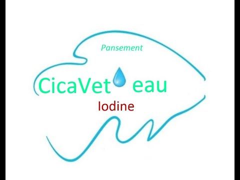 CICAVET'EAU