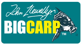 BIG CARP 